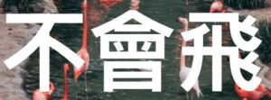 GOBACK 醫神小江30